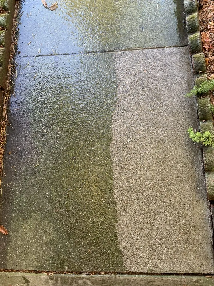 Trusted landscaping services experts serving Petaluma, CA - G Brothers Landscaping