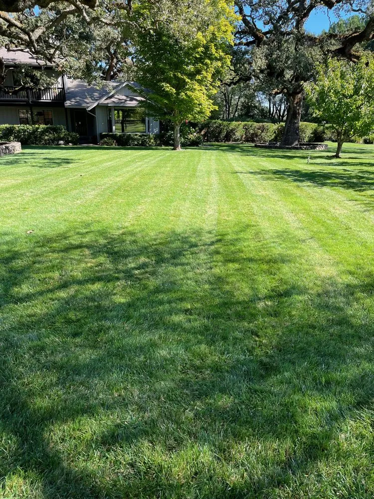 Reliable lawn mowing service in Petaluma, CA - G Brothers Landscaping