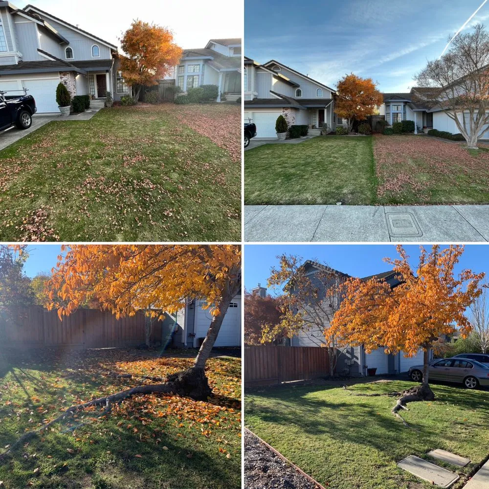 Professional landscaping services for outdoor upgrades in Petaluma, CA by G Brothers Landscaping