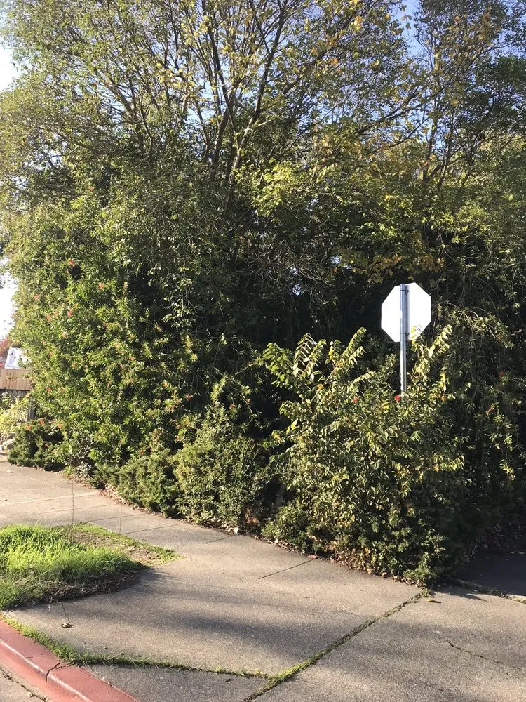 Trusted landscape design for beautiful yards in Napa, CA by G. C. Landscaping