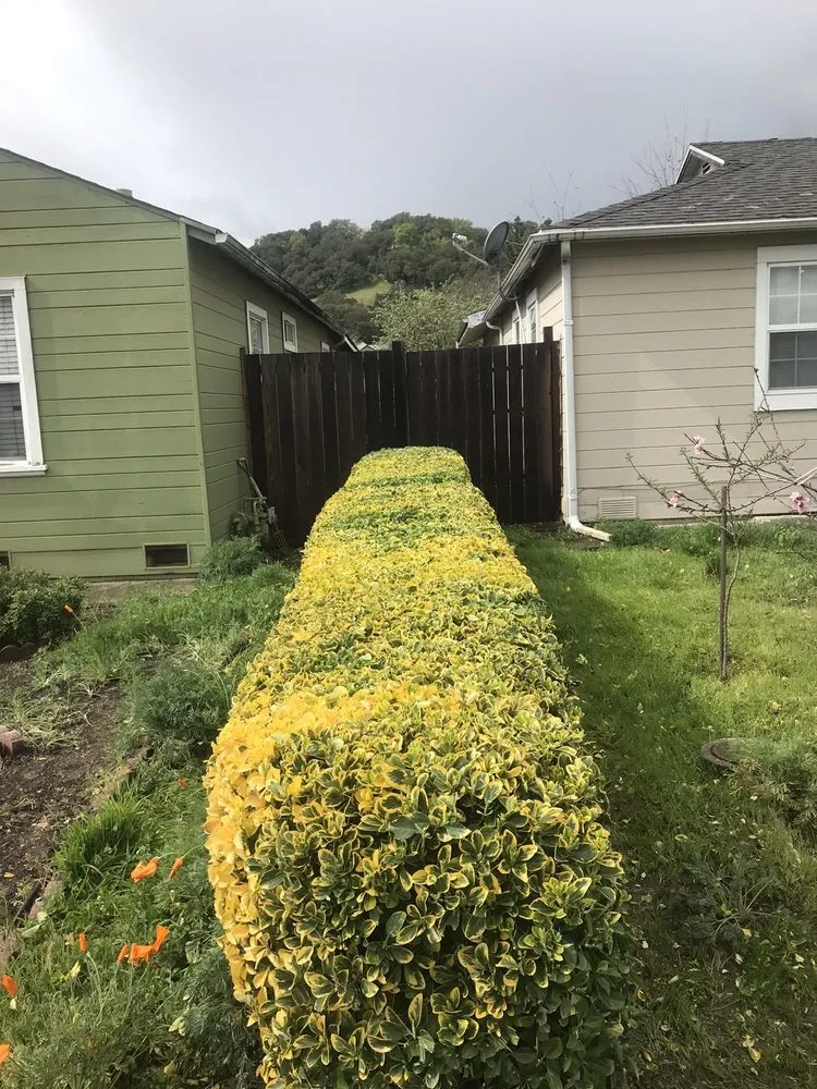 Top-rated outdoor landscaping in Napa, CA by G. C. Landscaping