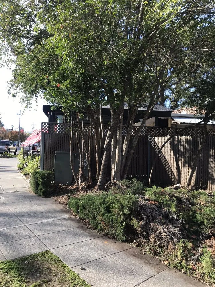 Local yard cleanup service in Napa, CA - G. C. Landscaping