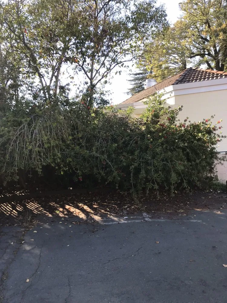 Professional lawn mowing service in Napa, CA by G. C. Landscaping