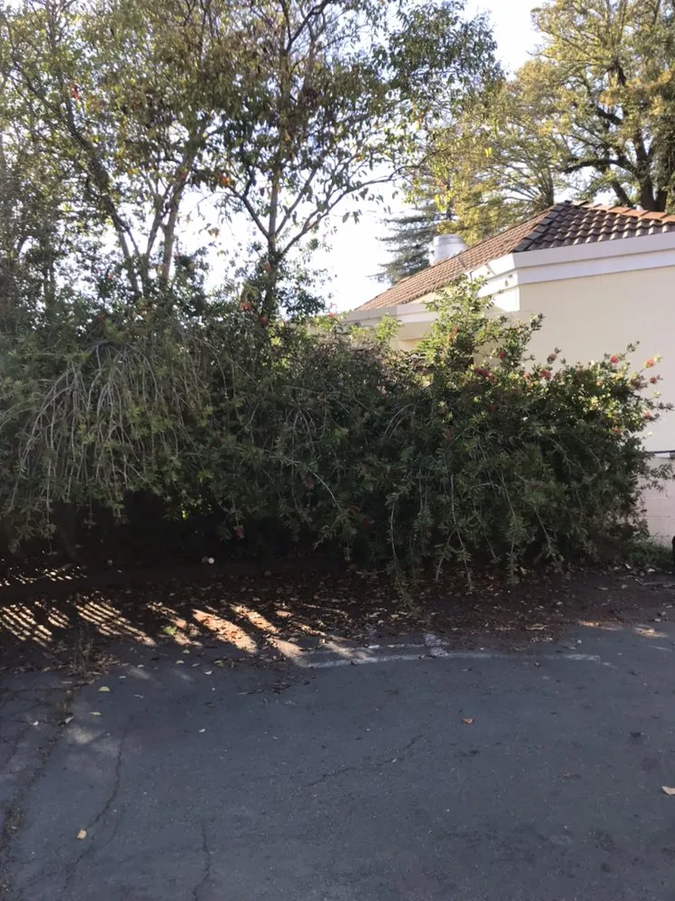 Affordable lawn care service in Napa, CA - G. C. Landscaping