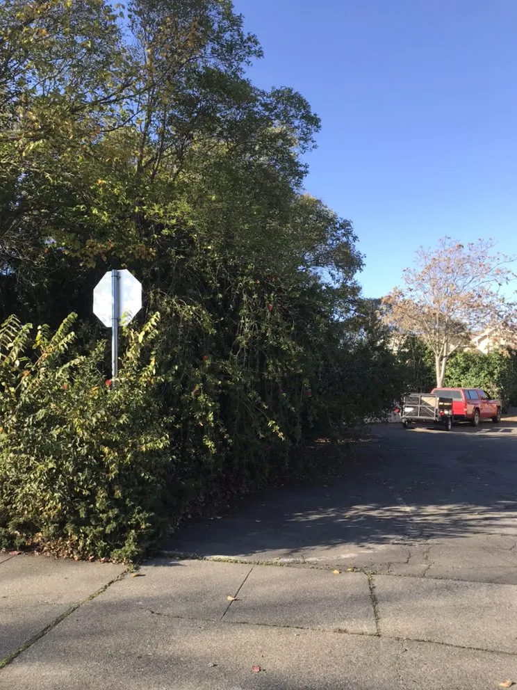 Affordable landscape design for homes in Napa, CA by G. C. Landscaping