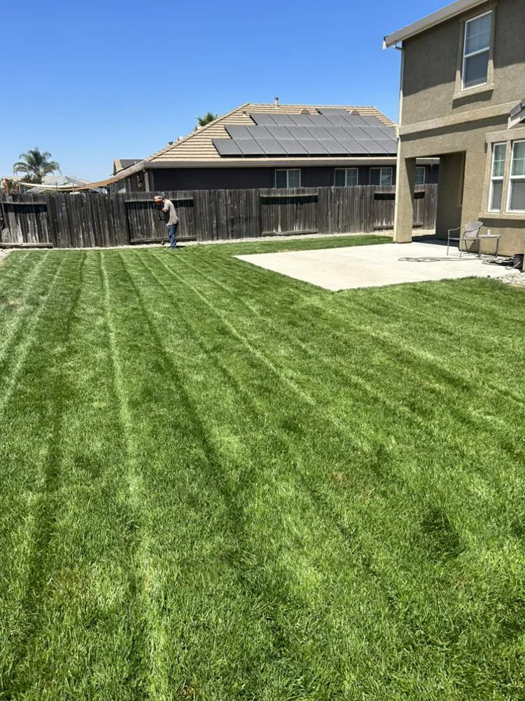 Professional outdoor landscaping in Cohasset, CA - G C Murillo Landscape