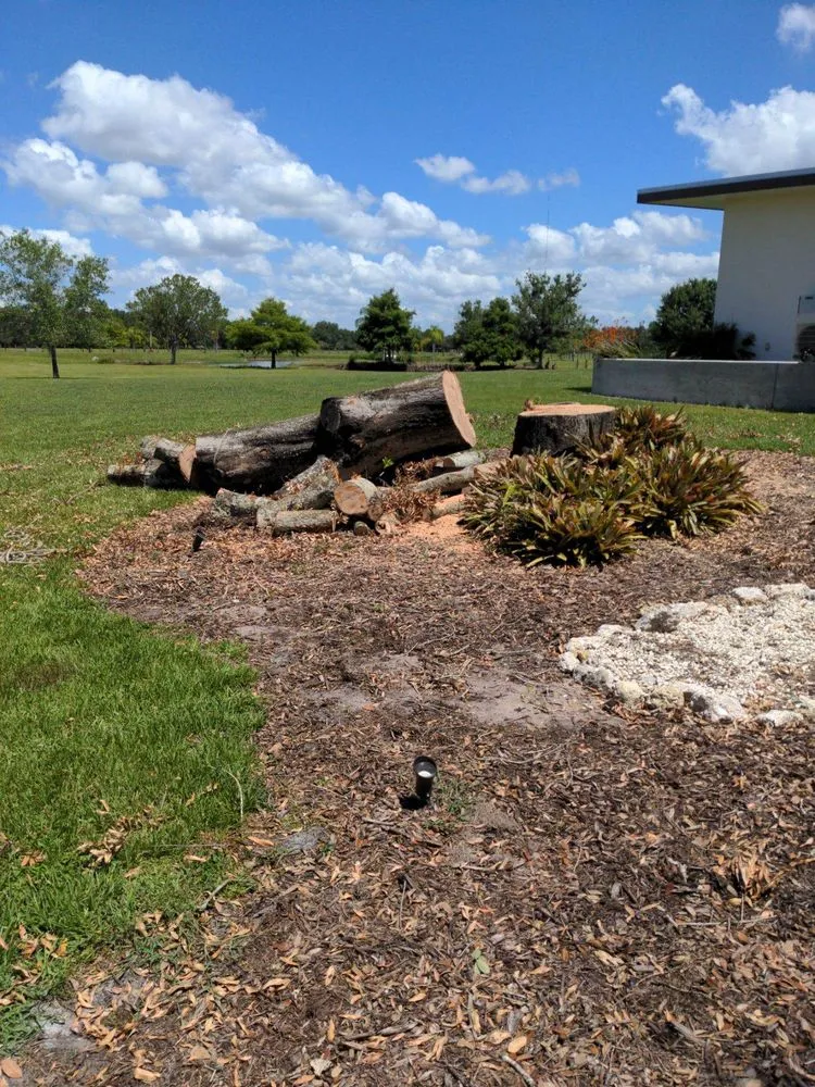 Professional residential landscaping in Sarasota, FL by G C Tree & Lawn Service