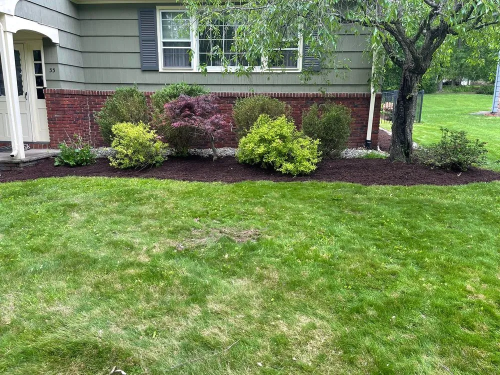 Professional yard cleanup service for year-round maintenance in Caldwell, NJ by G Campos Landscaping