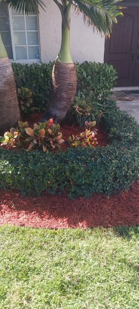 Local outdoor landscaping with custom design in Boca Raton, FL by G D Property Maintenance