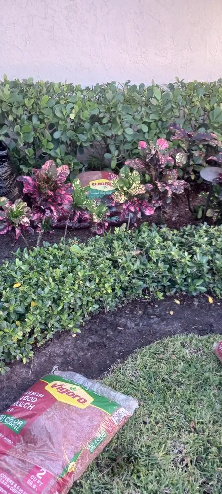 Trusted yard cleanup service experts serving Boca Raton, FL - G D Property Maintenance