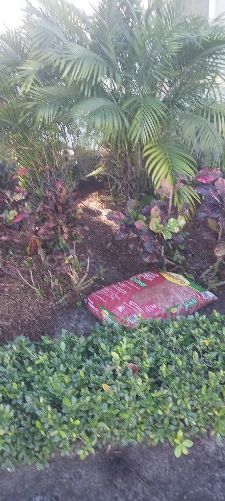 Expert garden landscaping in Boca Raton, FL - G D Property Maintenance