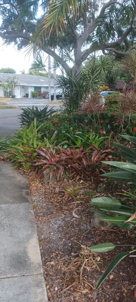 Top-rated residential landscaping in Boca Raton, FL - G D Property Maintenance