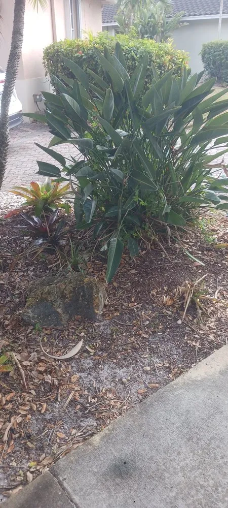 Trusted lawn care service experts serving Boca Raton, FL - G D Property Maintenance