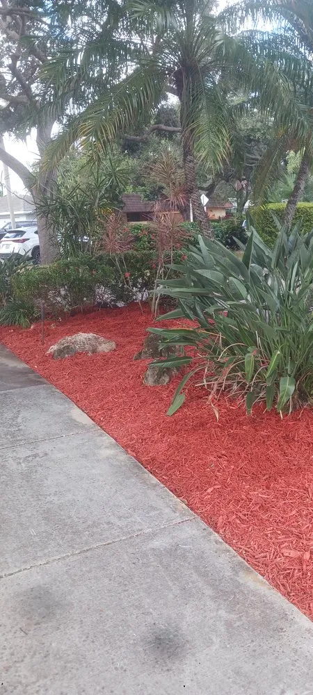 Top-rated yard maintenance for beautiful yards in Boca Raton, FL by G D Property Maintenance