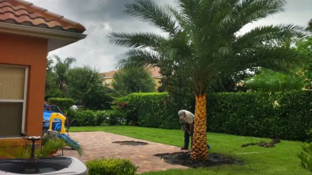 Custom yard maintenance experts serving Coral Springs, FL - G Grasshoppers Landscaping and Design
