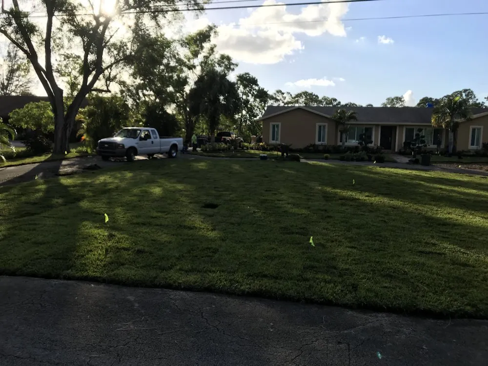 Local yard cleanup service for residential properties in Coral Springs, FL by G Grasshoppers Landscaping and Design