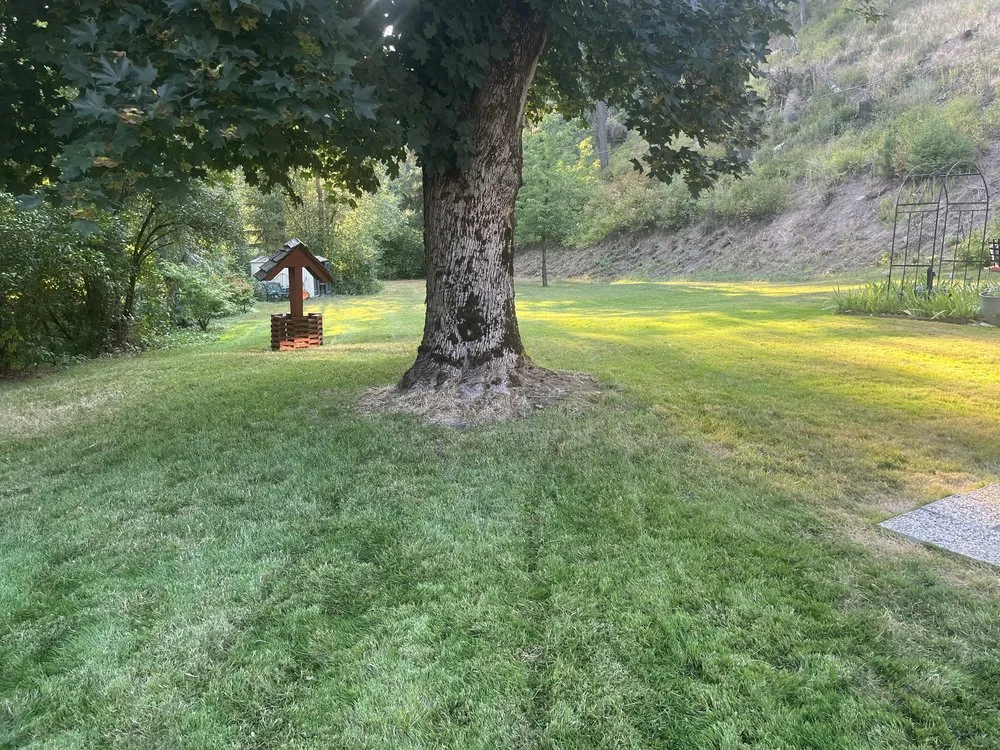 Expert yard cleanup service with custom design across Mullan, ID - G I Joe Enterprises