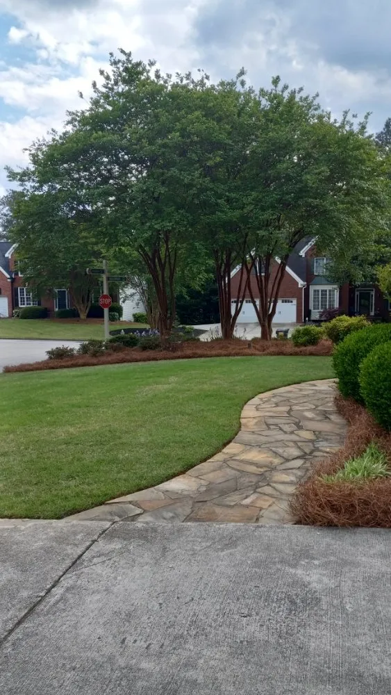 Local yard cleanup service experts serving Dallas, GA - G I Scapes