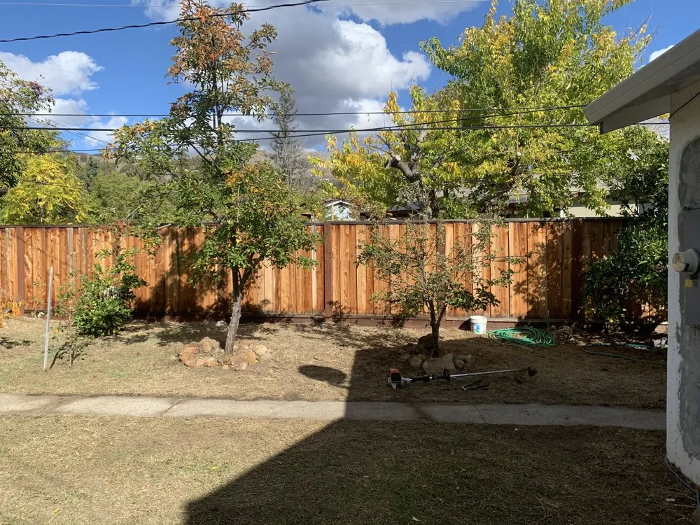 Local yard cleanup service in San Jose, CA by G I W U Services