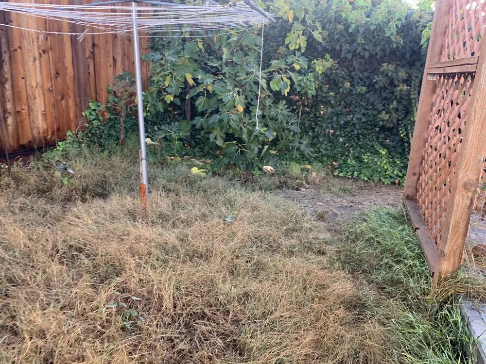 Trusted lawn care service near you in San Jose, CA by G I W U Services