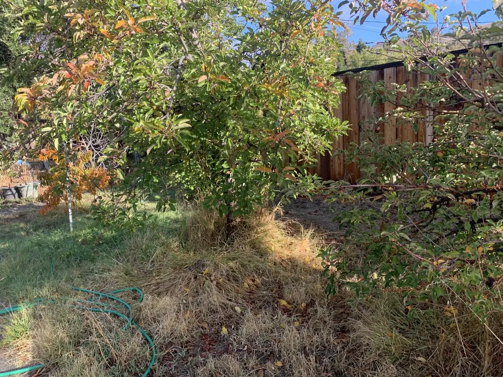 Reliable garden landscaping for year-round maintenance across San Jose, CA - G I W U Services