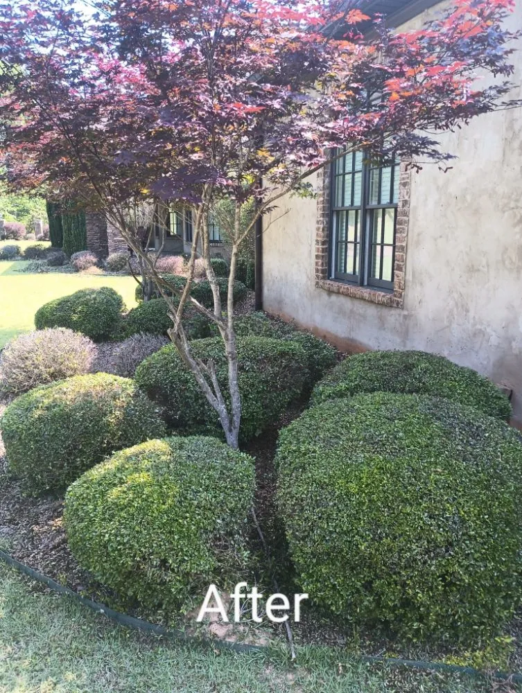 Reliable landscape design in Northport, AL by G Jones Property Services