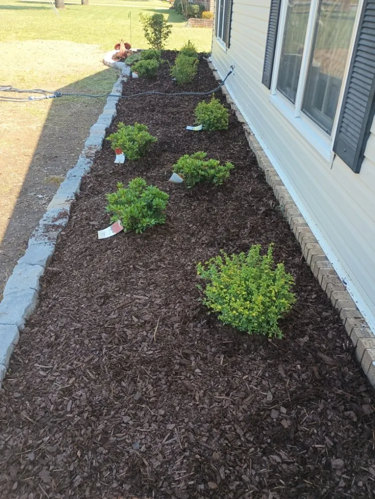 Reliable yard cleanup service experts serving Northport, AL - G Jones Property Services