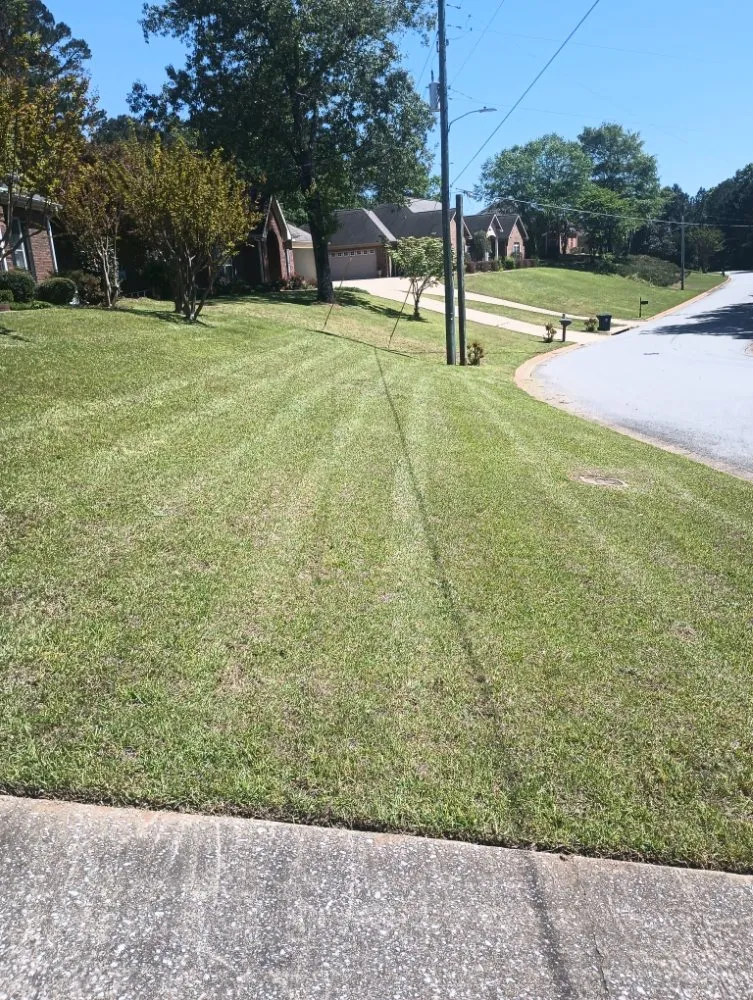 Affordable landscape design in Northport, AL - G Jones Property Services