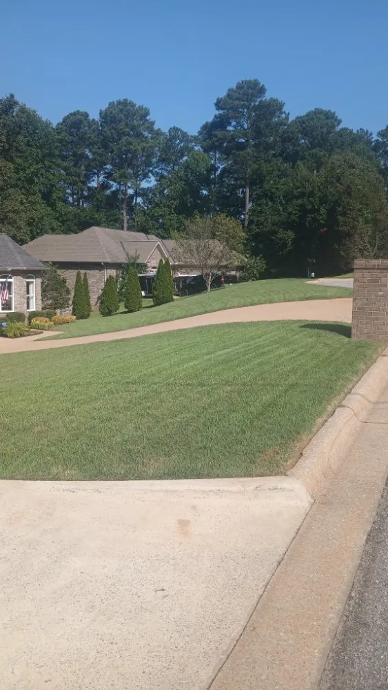 Trusted yard maintenance near you across Northport, AL - G Jones Property Services