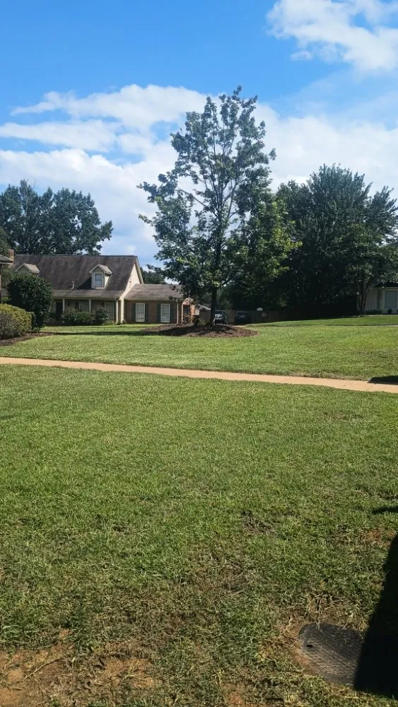 Trusted yard cleanup service in Northport, AL by G Jones Property Services