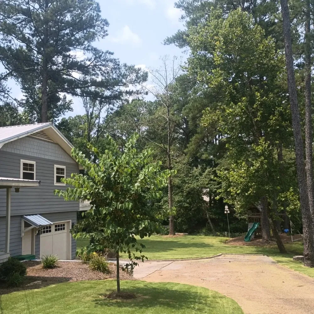 Professional garden landscaping with custom design across Northport, AL - G Jones Property Services