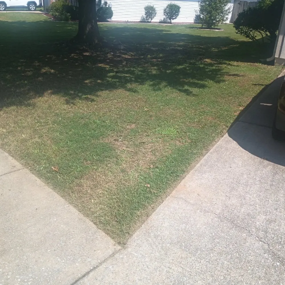 Professional lawn care service in Northport, AL - G Jones Property Services