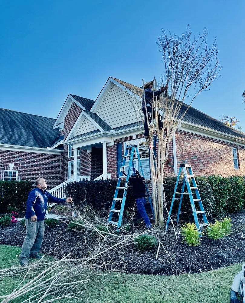 Expert residential landscaping in Wilmington, NC by G Juarez Lawn and Landscaping