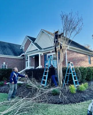G Juarez Lawn and Landscaping