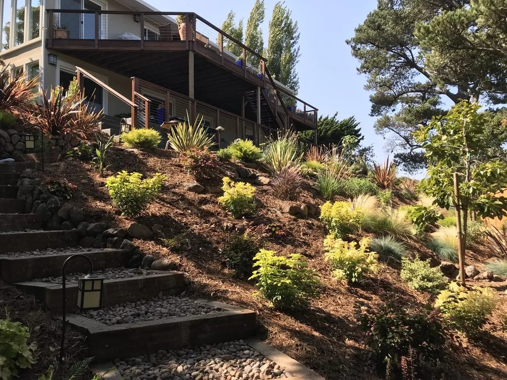 Reliable landscaping services in San Rafael, CA by G Landscape Division