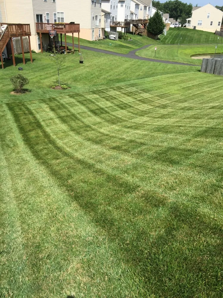 Custom garden landscaping experts serving Stafford, VA - G landscaping