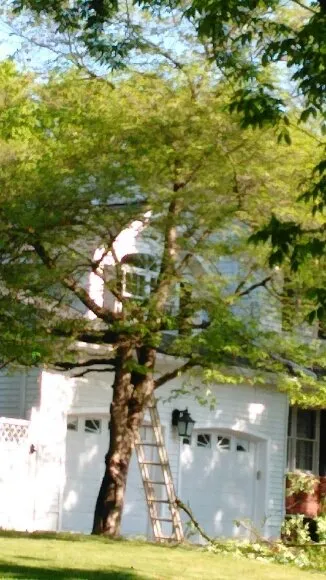 Affordable lawn mowing service experts serving Hackensack, NJ - G. M. Landscape Design and Construction