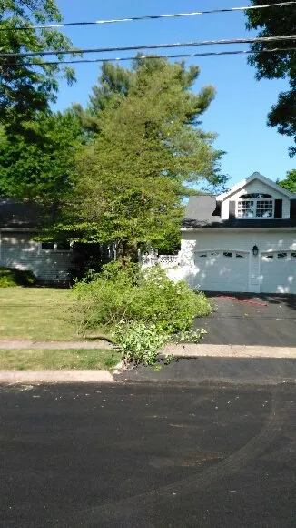 Top-rated landscape design for year-round maintenance across Hackensack, NJ - G. M. Landscape Design and Construction