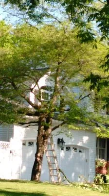 G. M. Landscape Design and Construction