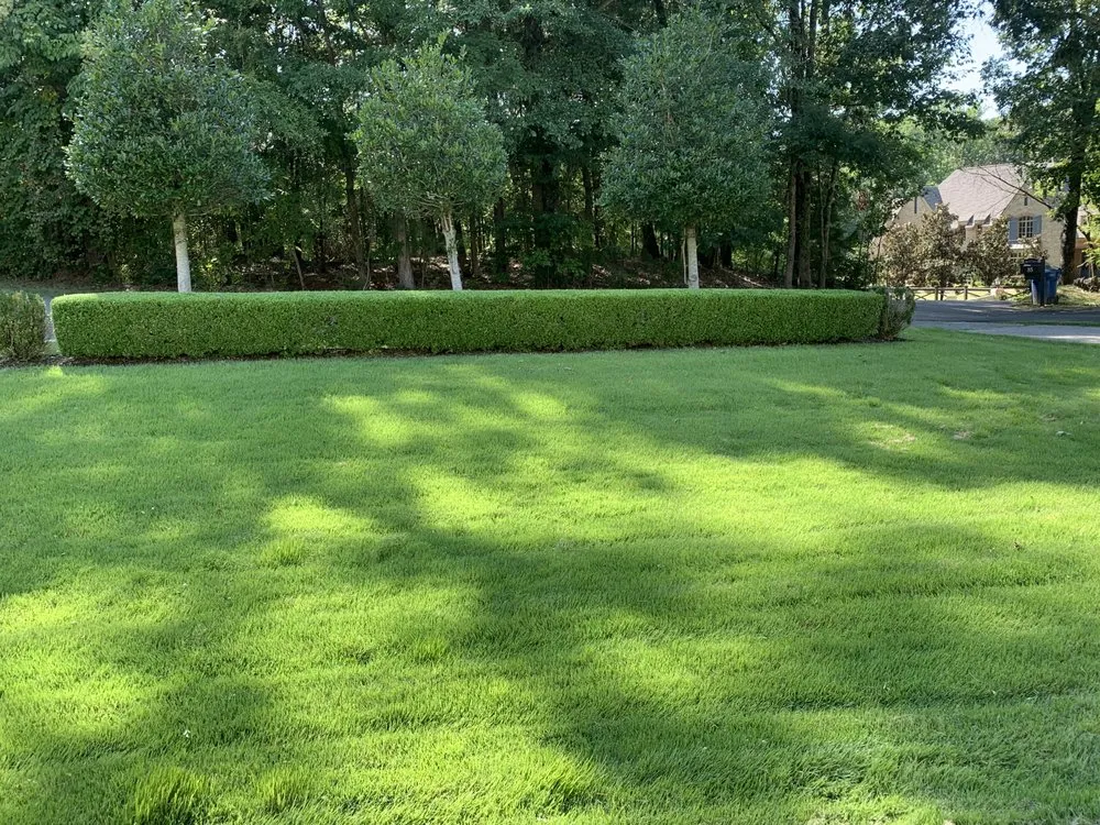 Reliable landscape design in Memphis, TN by G M Landscaping