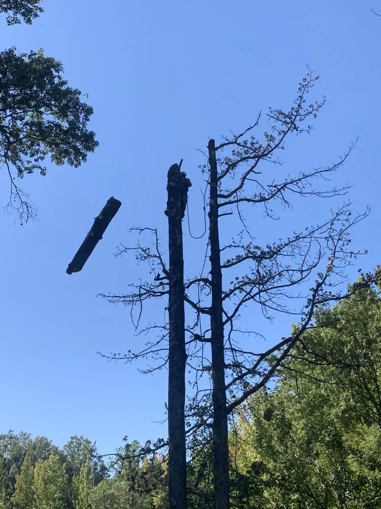 Local landscape design for homes across Memphis, TN - G M Landscaping