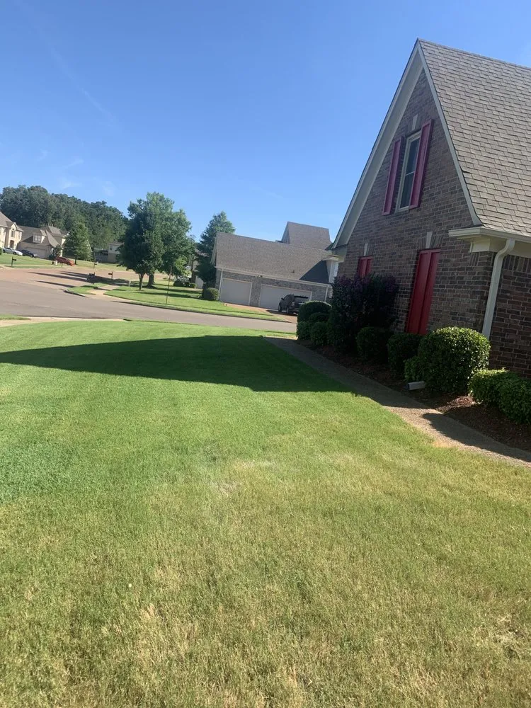 Affordable landscape installation experts serving Memphis, TN - G M Landscaping