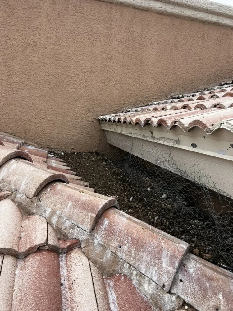 Local yard maintenance in Chaparral, NM by G-Man Pest Control