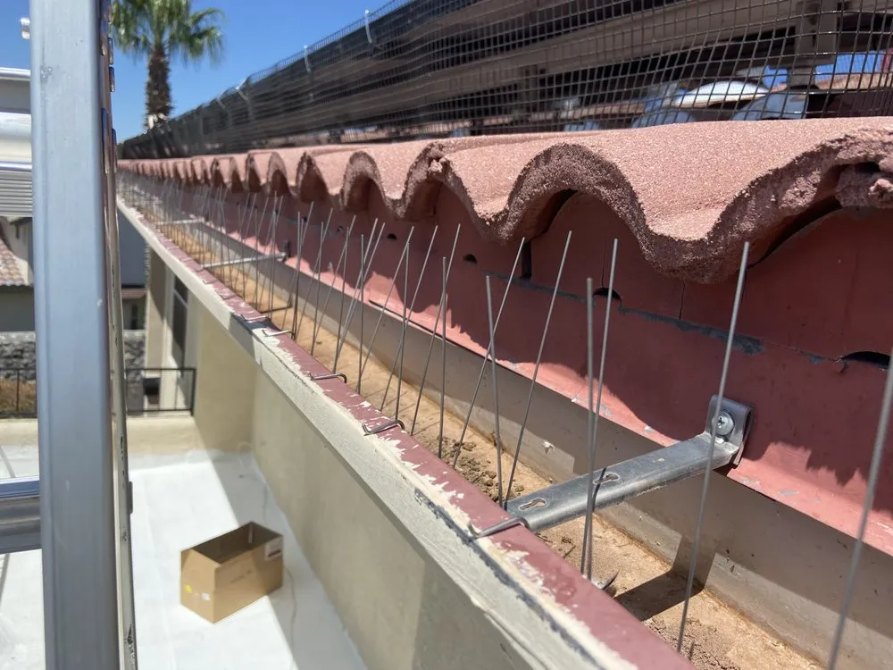 Custom landscape design in Chaparral, NM by G-Man Pest Control