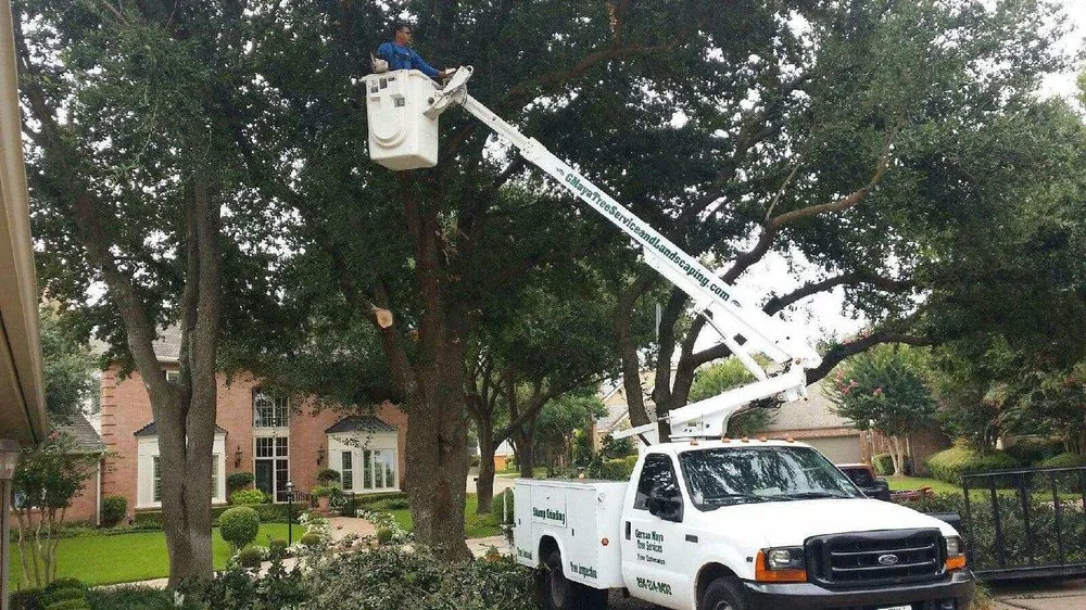 Top-rated landscape installation for outdoor upgrades in Riesel, TX by G Maya Tree Service & Landscaping