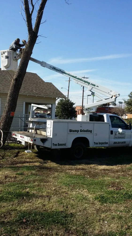 Reliable lawn care service in Riesel, TX - G Maya Tree Service & Landscaping