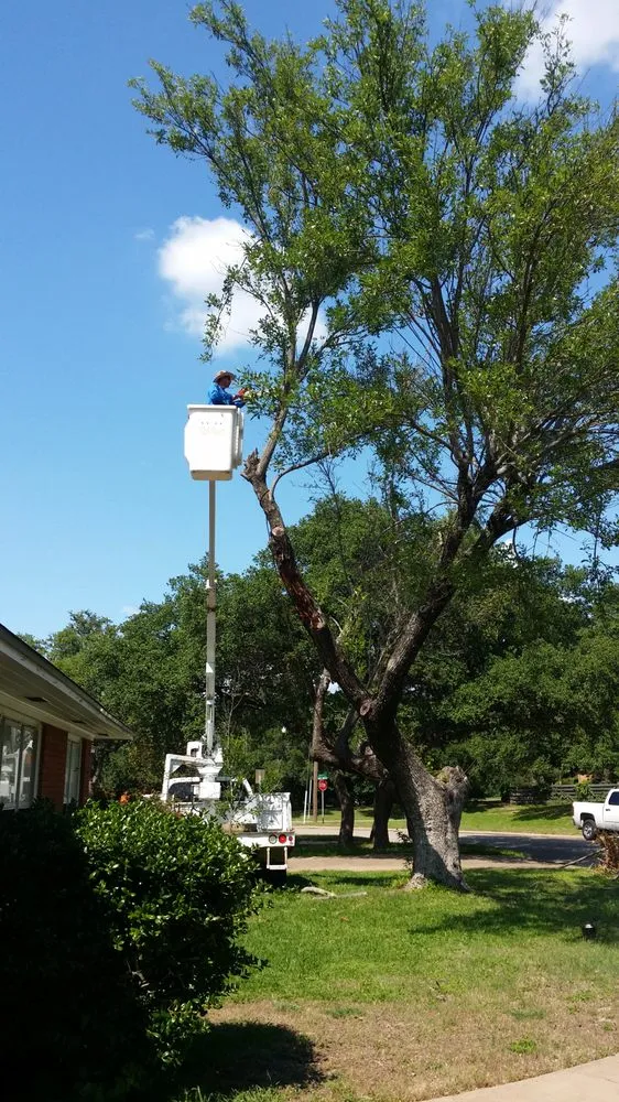 Top-rated yard maintenance in Riesel, TX by G Maya Tree Service & Landscaping