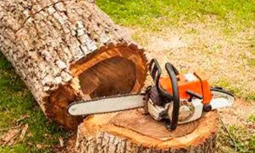 Trusted lawn mowing service experts serving Riesel, TX - G Maya Tree Service & Landscaping