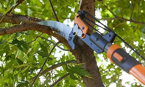 Professional lawn care service in Riesel, TX by G Maya Tree Service & Landscaping