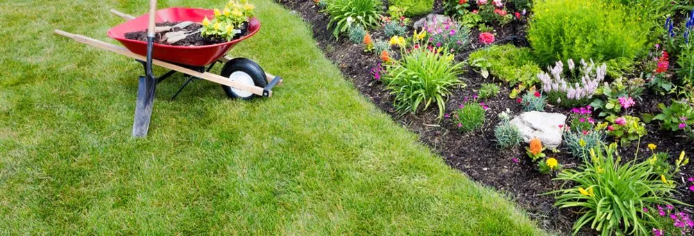 Professional landscape design in Riesel, TX - G Maya Tree Service & Landscaping